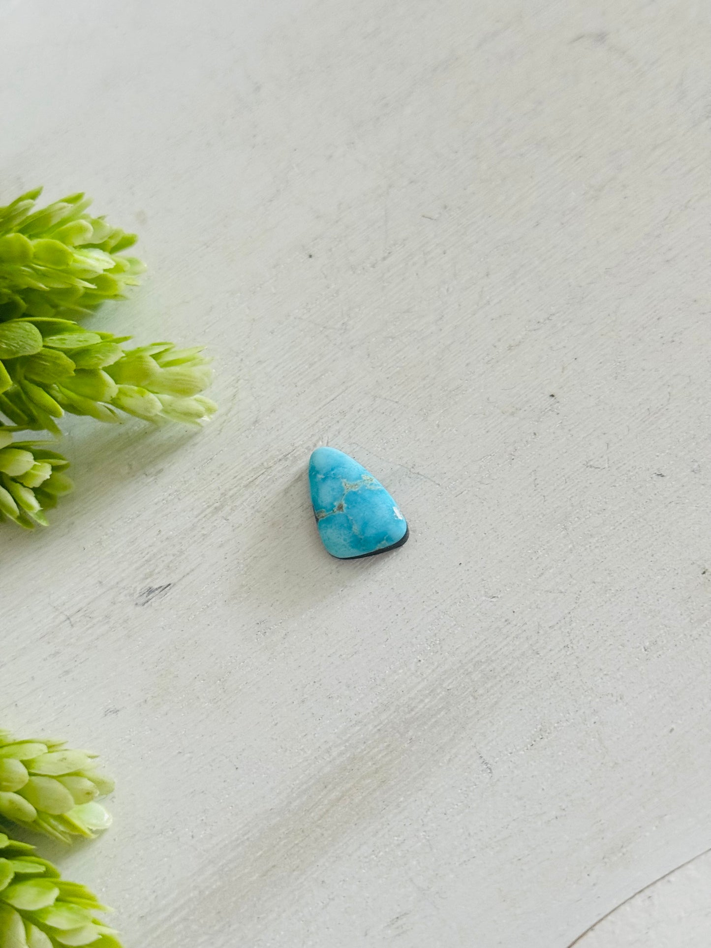 Blue Bird Turquoise Cab