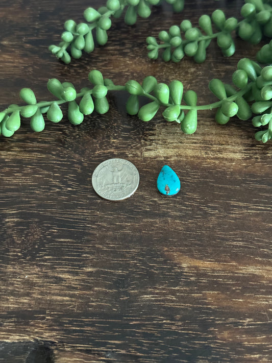 Kingman Turquoise Cab