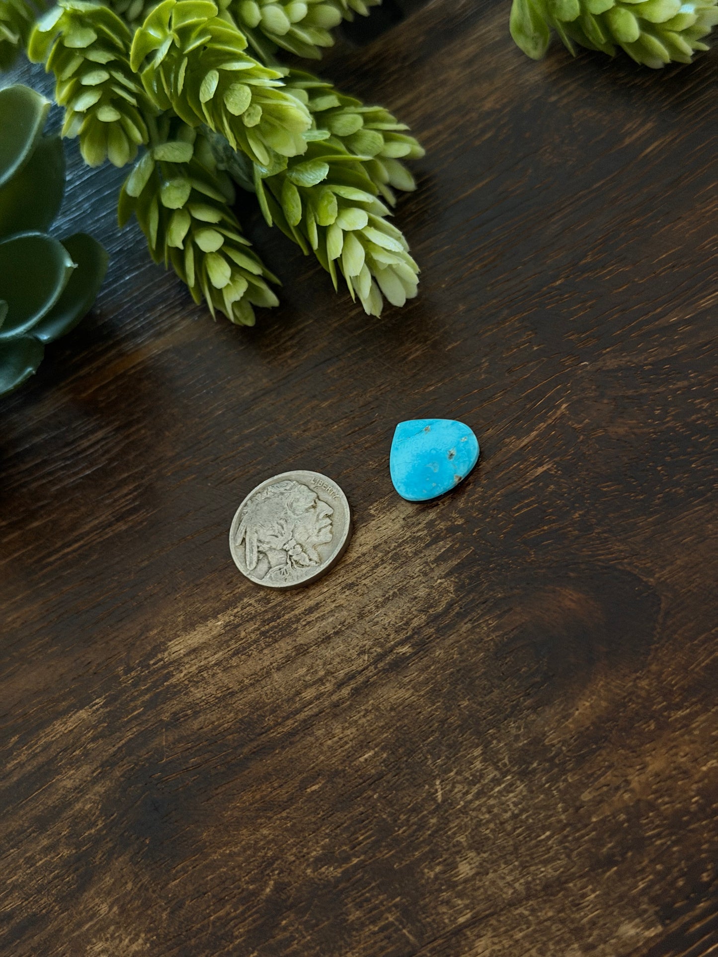 Blue Bird Turquoise Cab
