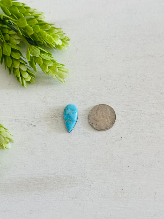 Blue Bird Turquoise Cab