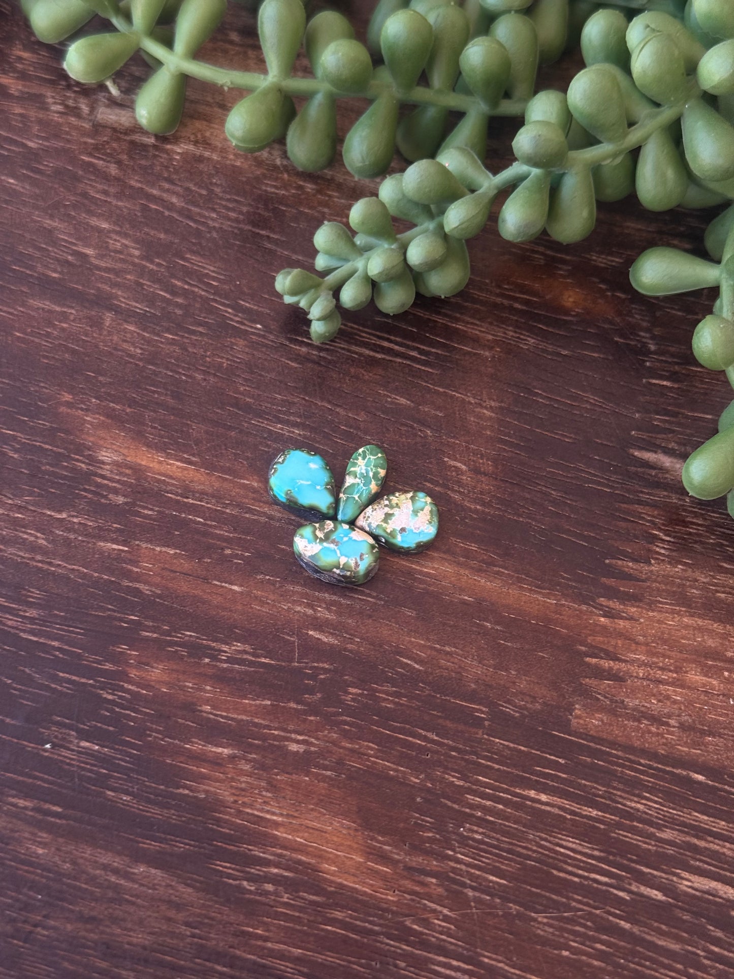 Sonoran Mountain Turquoise Cabs