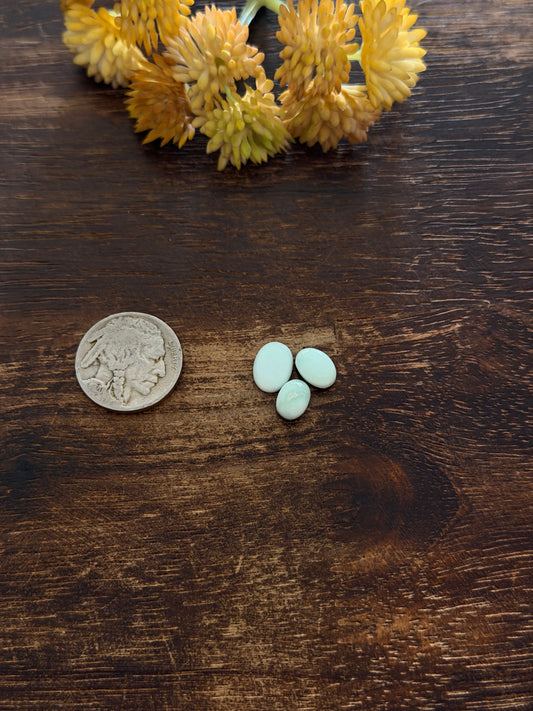 Paloma Variscite Cabs