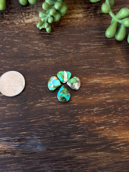 Sonoran Mountain Turquoise Cabs