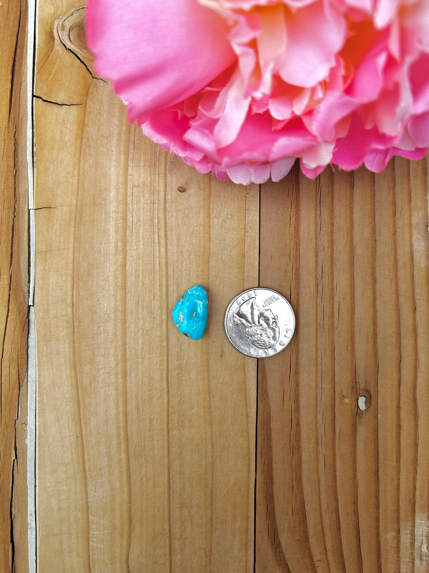 Blue Bird Turquoise Cabs