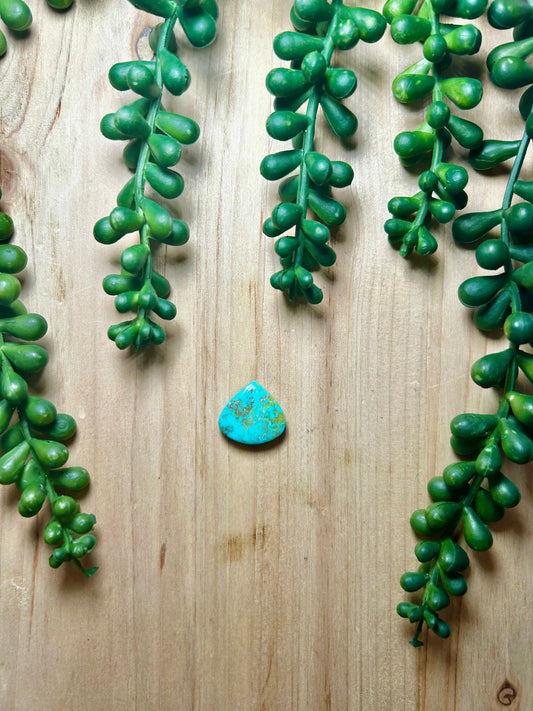 Kingman Turquoise Cab