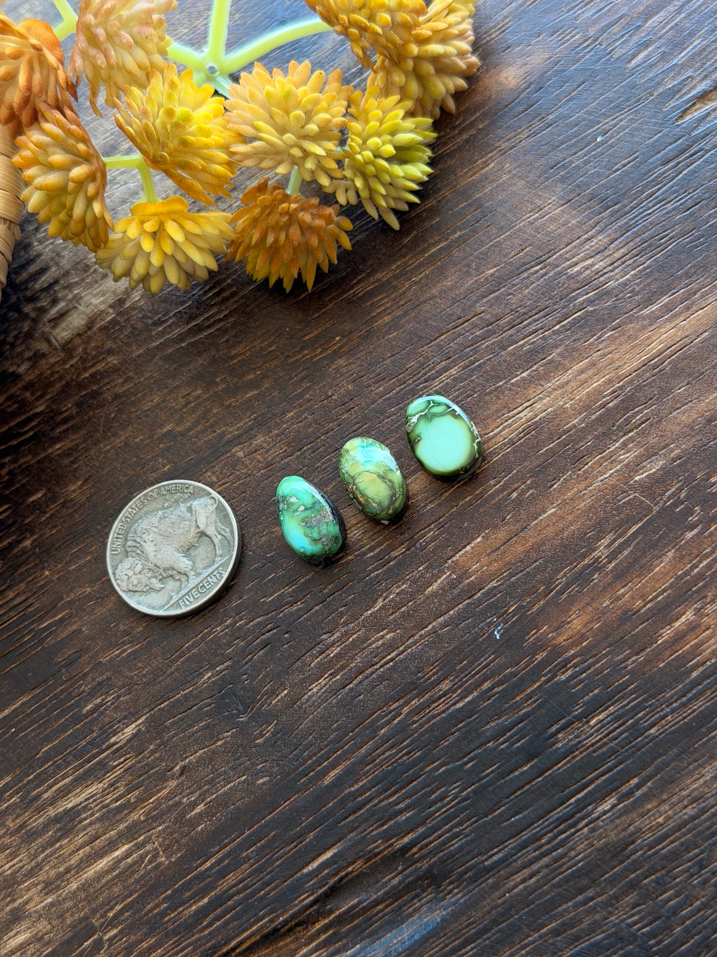Sonoran Mountain Turquoise Cabs