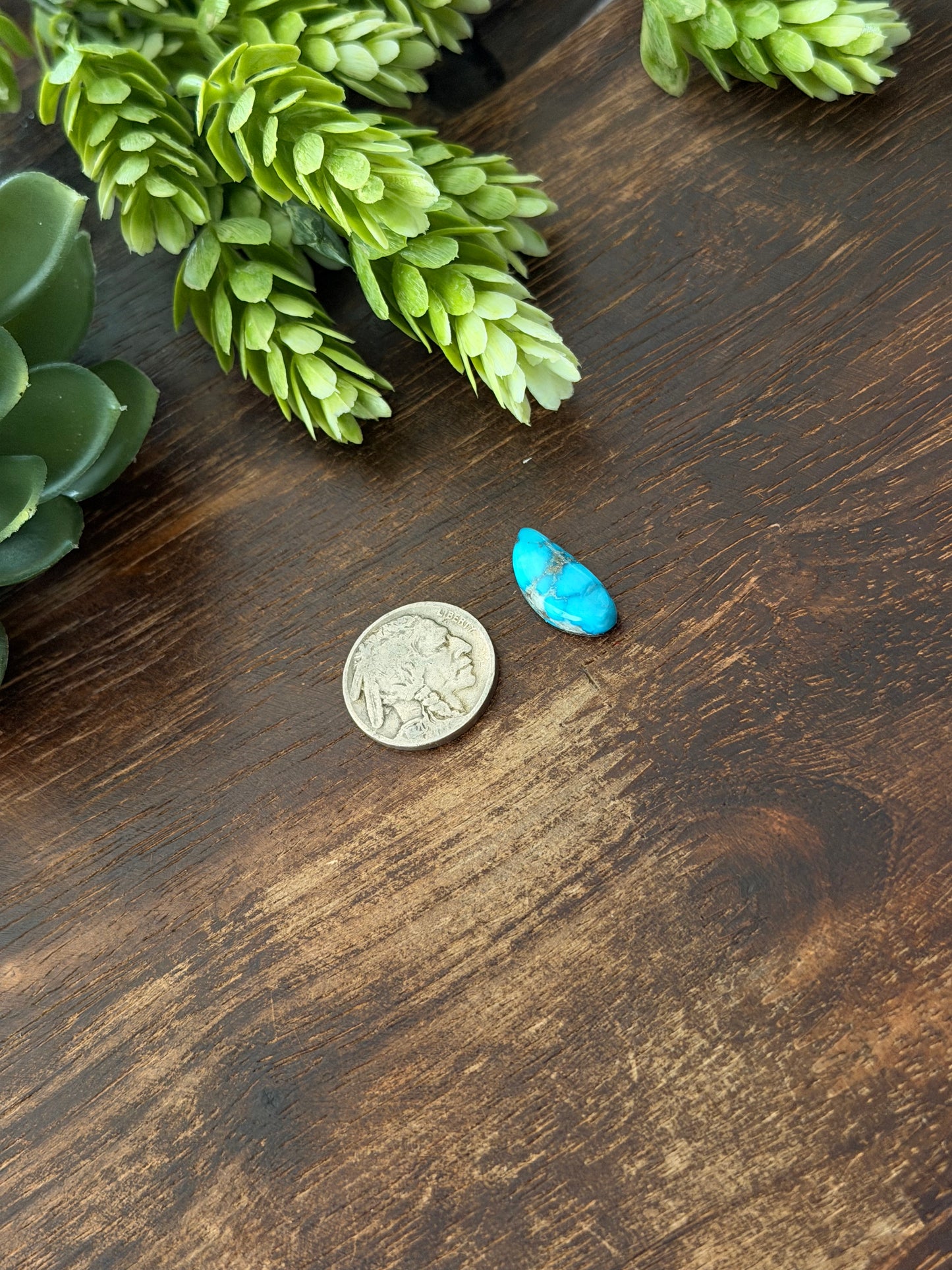 Blue Bird Turquoise Cab