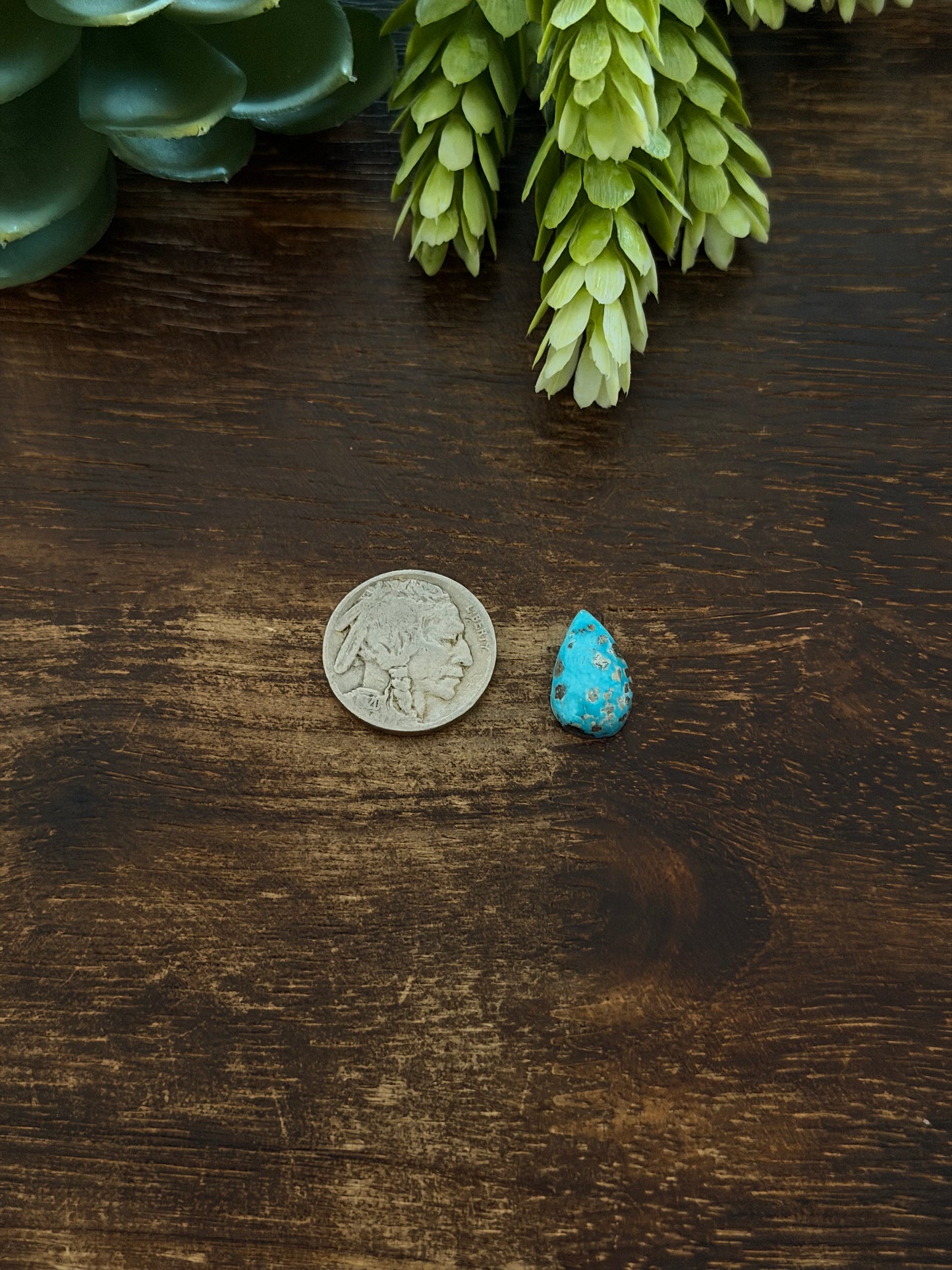 Blue Bird Turquoise Cab