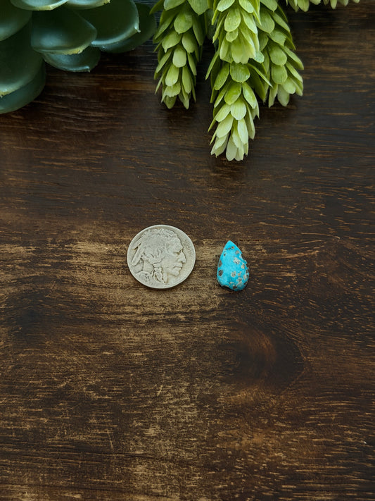 Blue Bird Turquoise Cab
