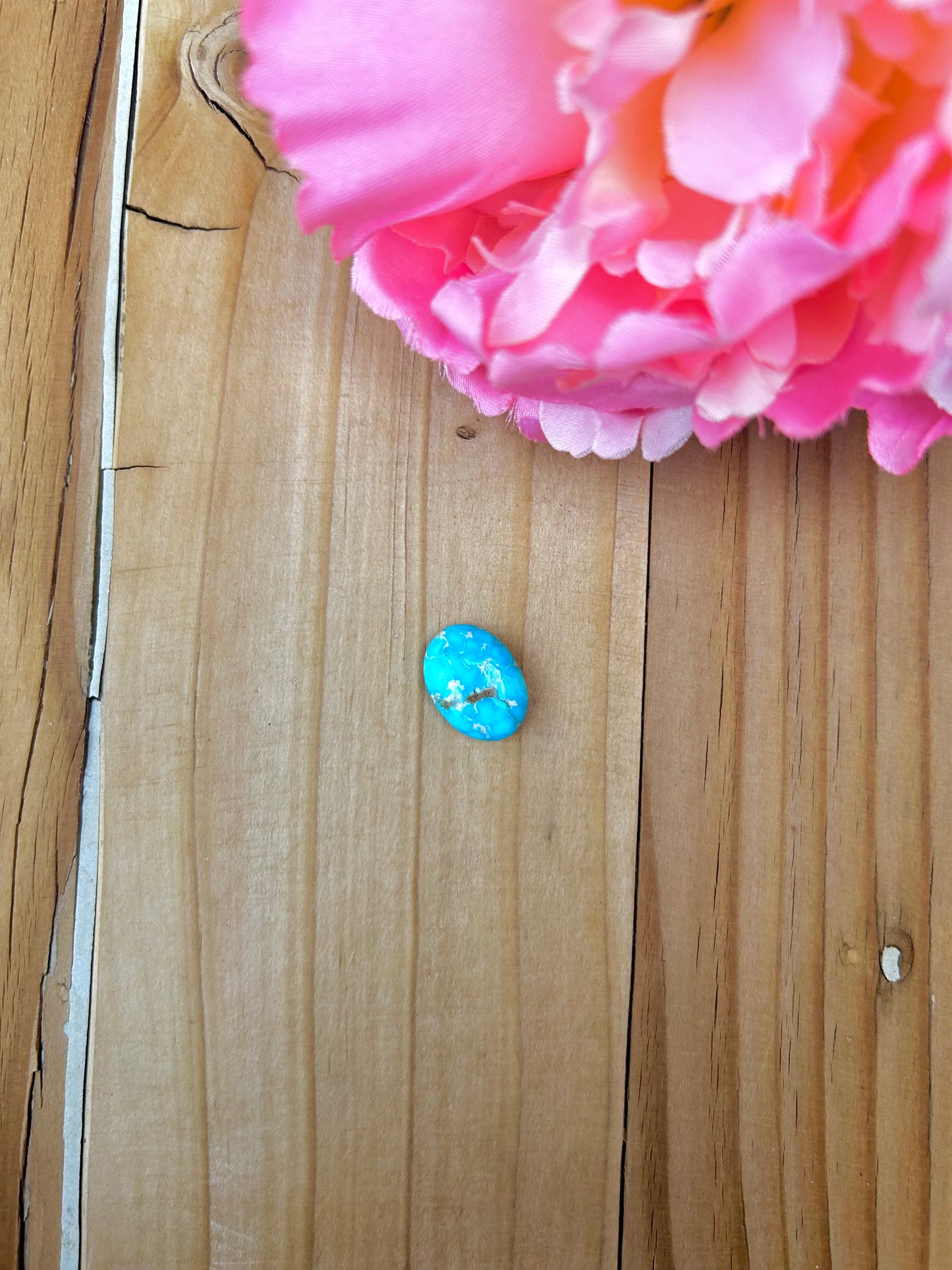 Blue Bird Turquoise Cabs