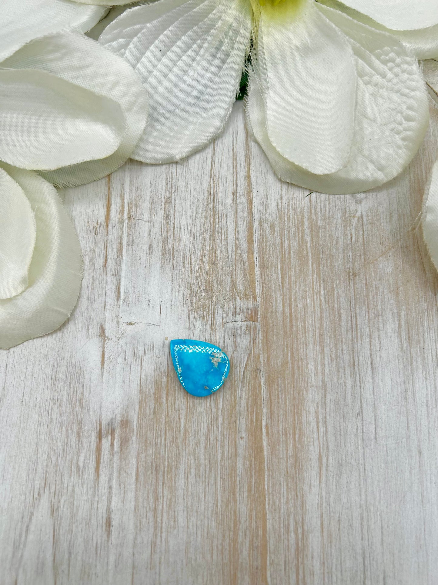 Blue Ridge Turquoise Cab