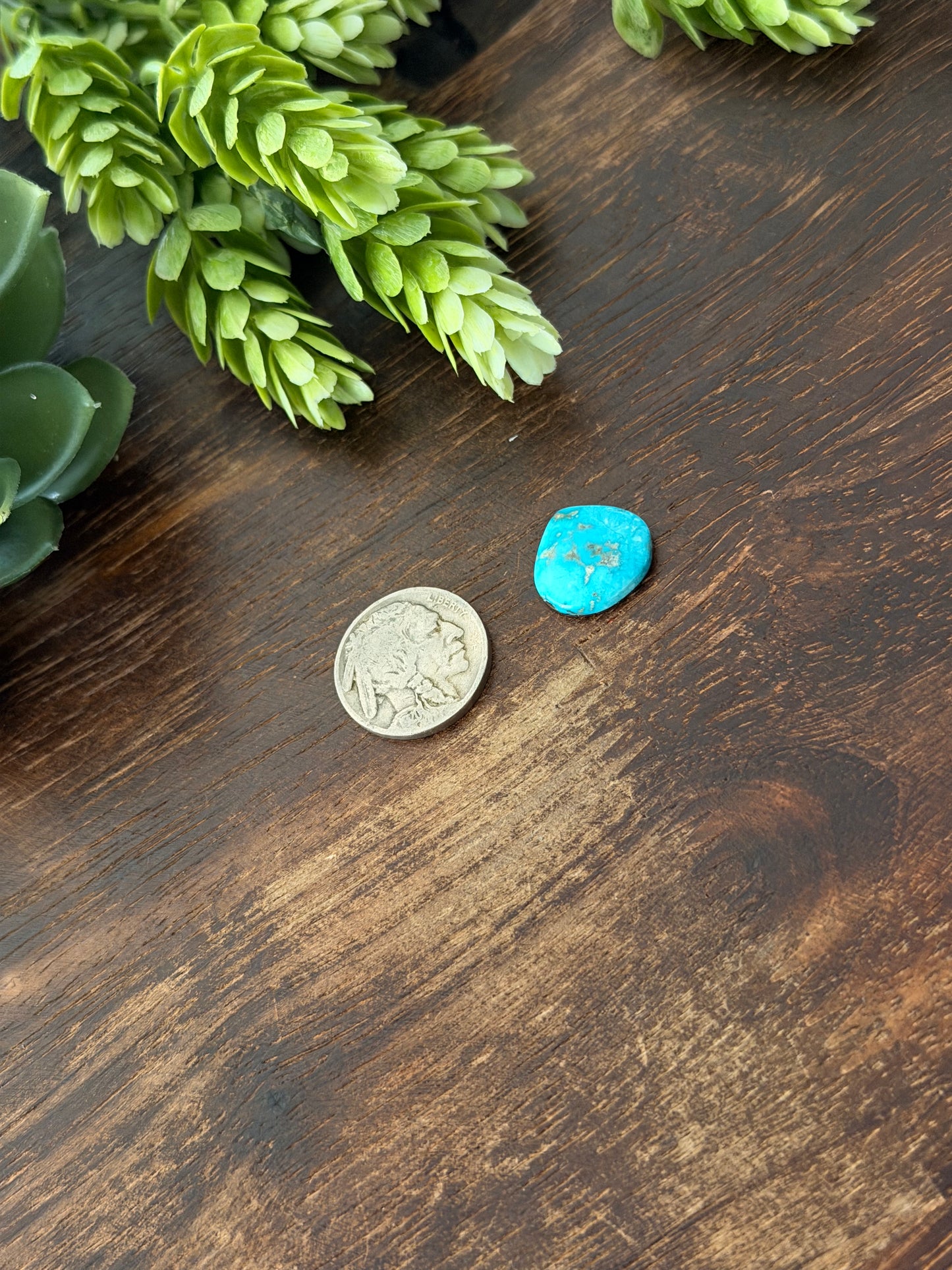 Blue Bird Turquoise Cab