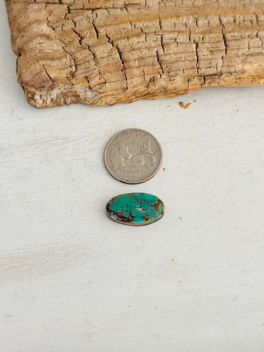 Natural Kings Manassa Turquoise Cab