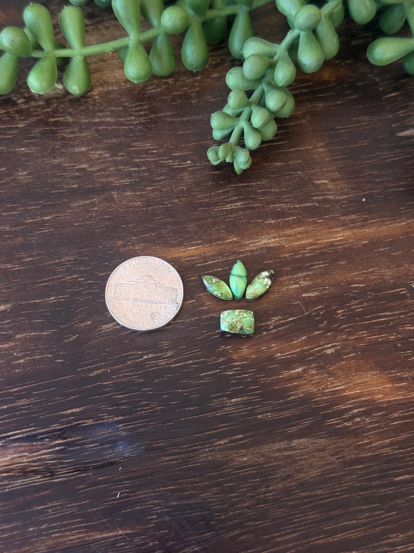 Sonoran Mountain Turquoise Cabs