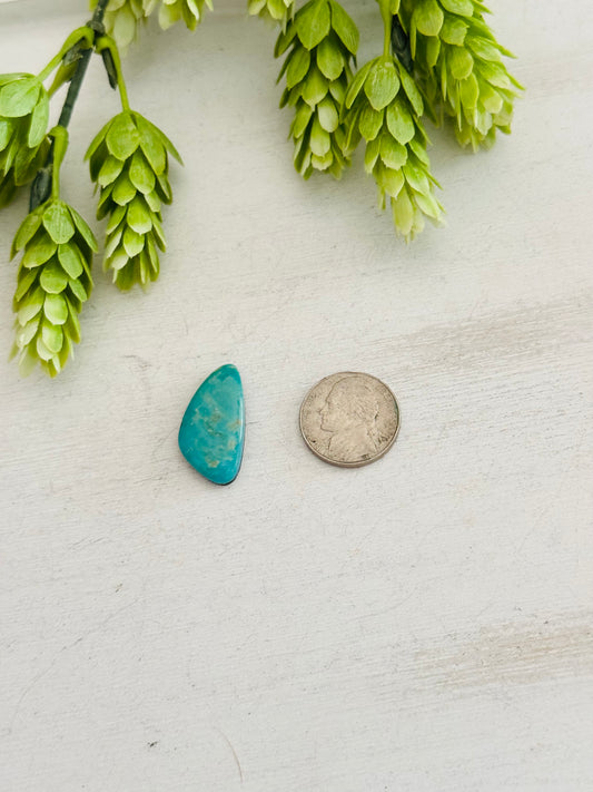 Kingman Turquoise Cab