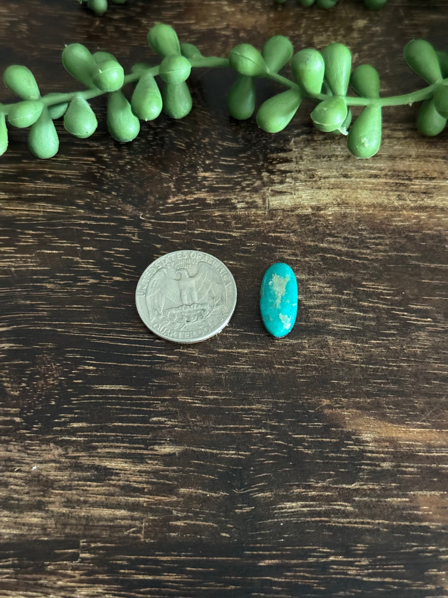 Kingman Turquoise Cab