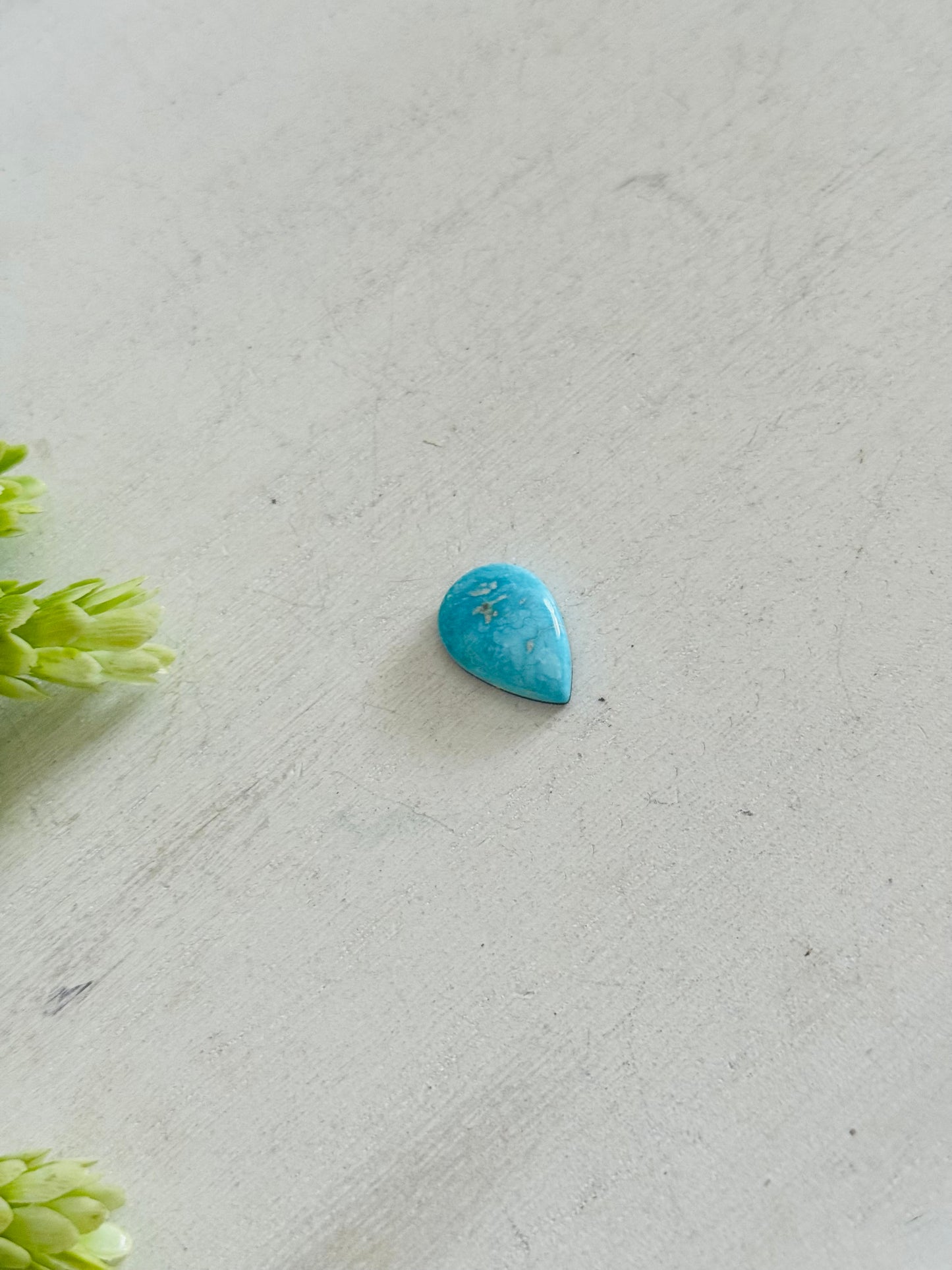 Blue Bird Turquoise Cab