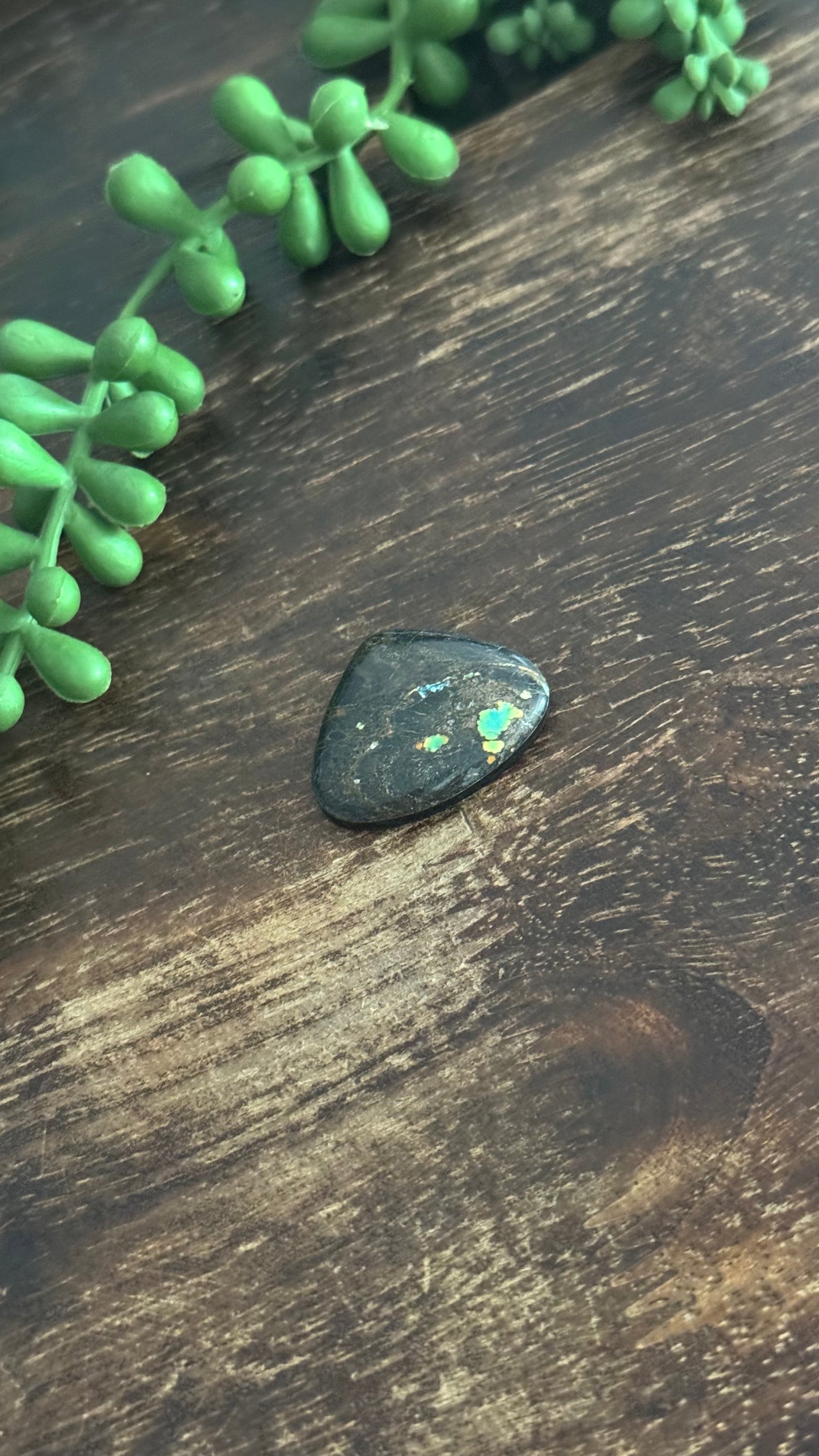 Black Jack Turquoise Cab