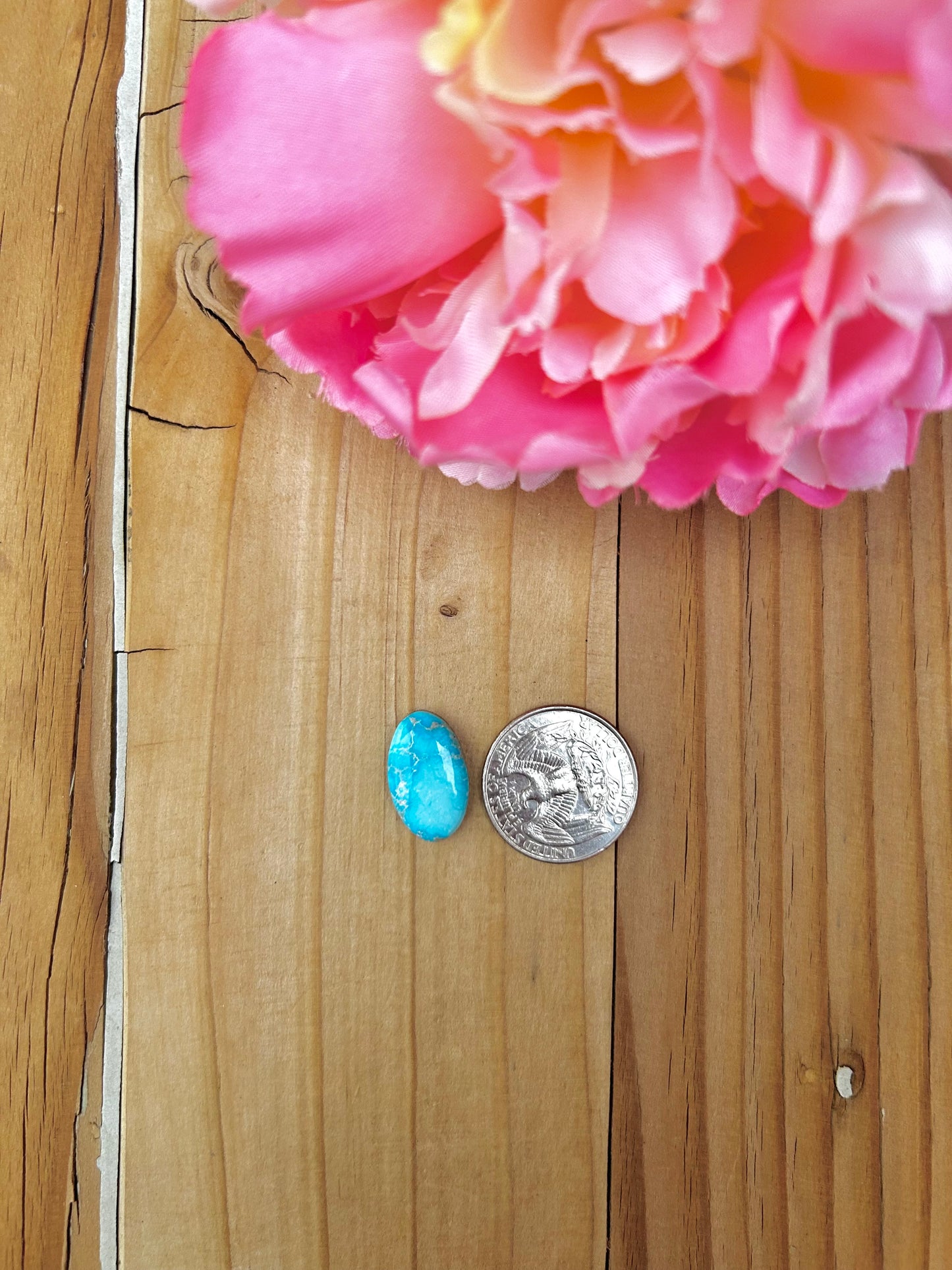 Blue Bird Turquoise Cabs