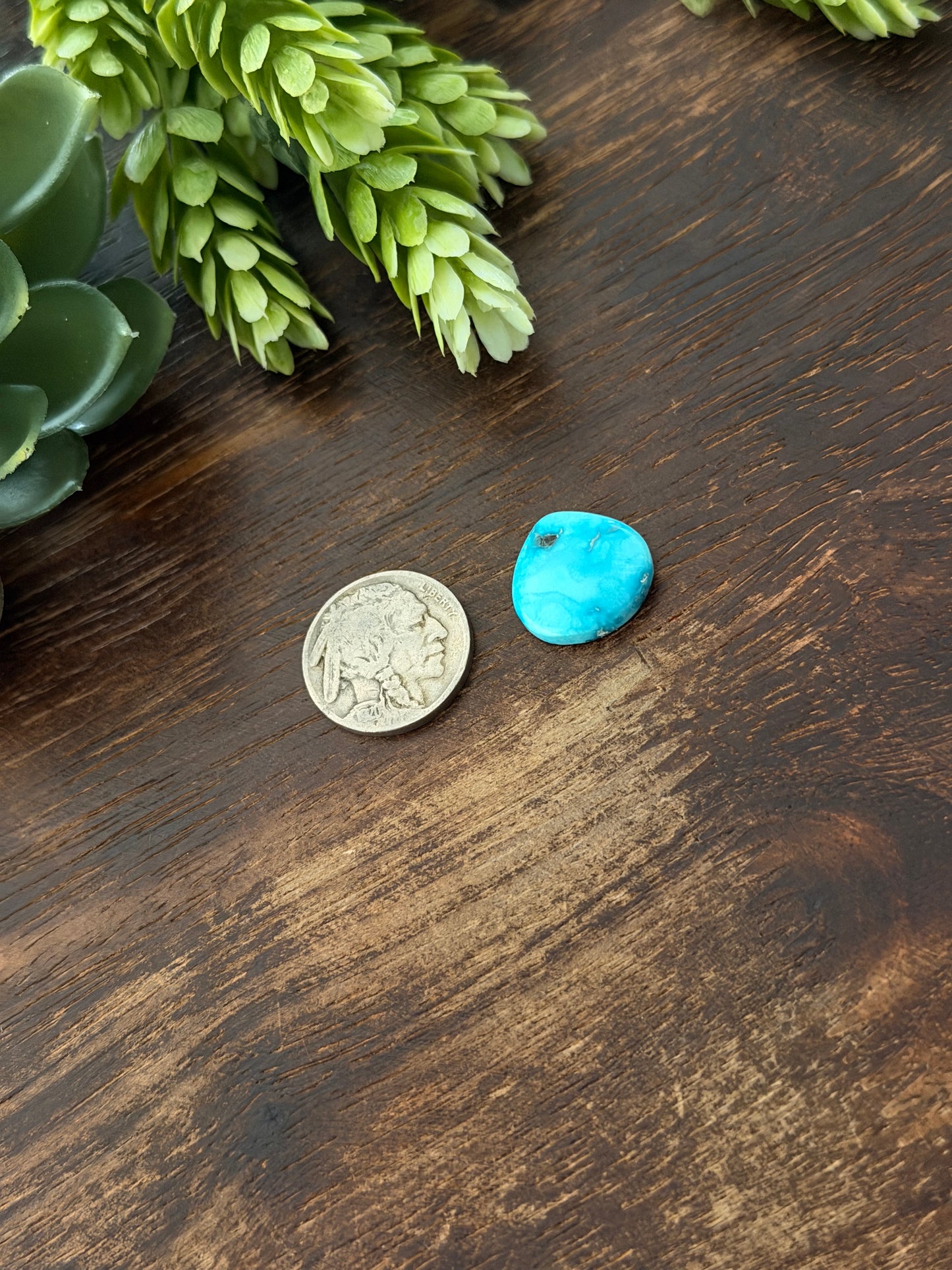 Blue Bird Turquoise Cab