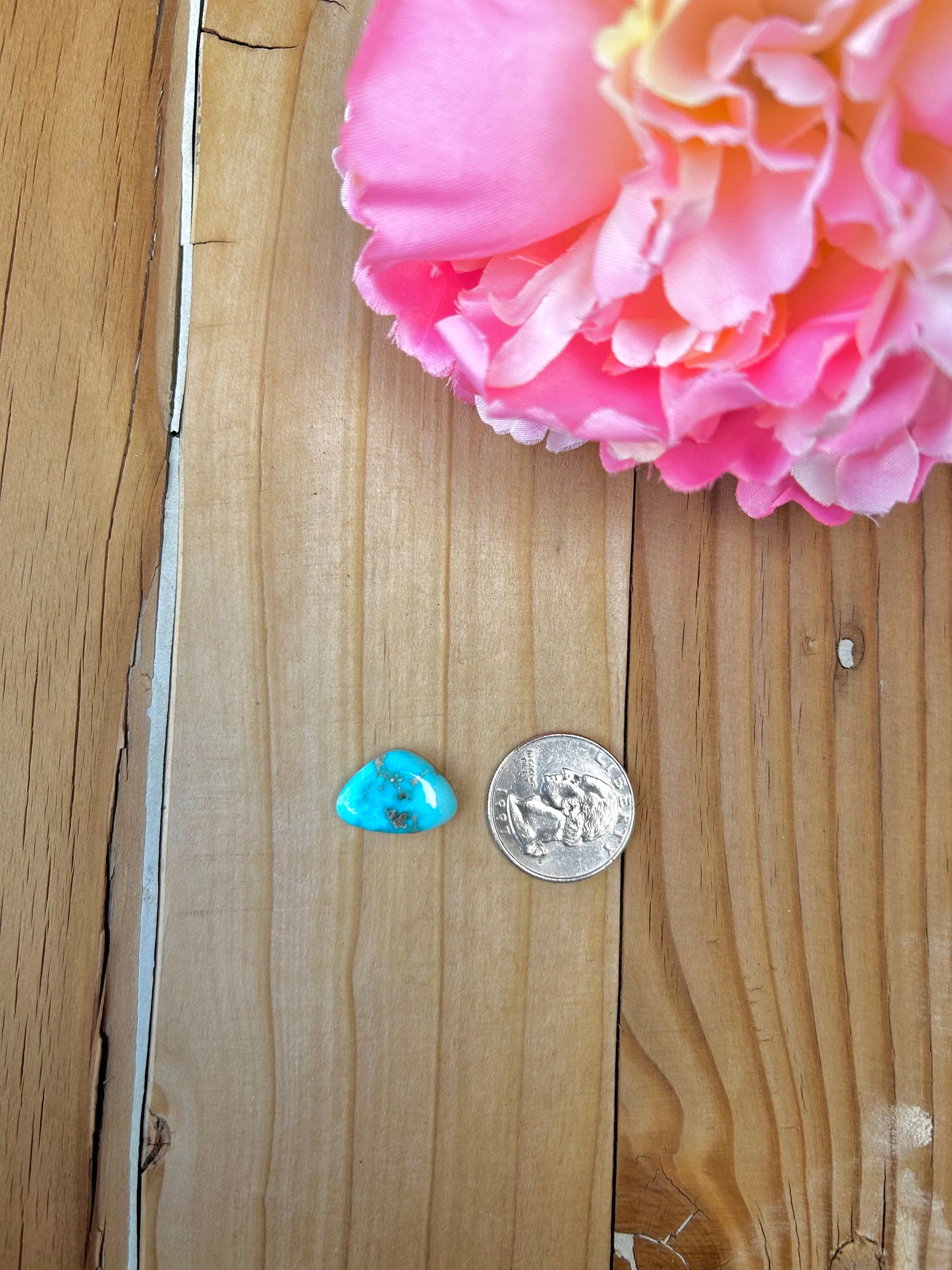 Blue Bird Turquoise Cabs