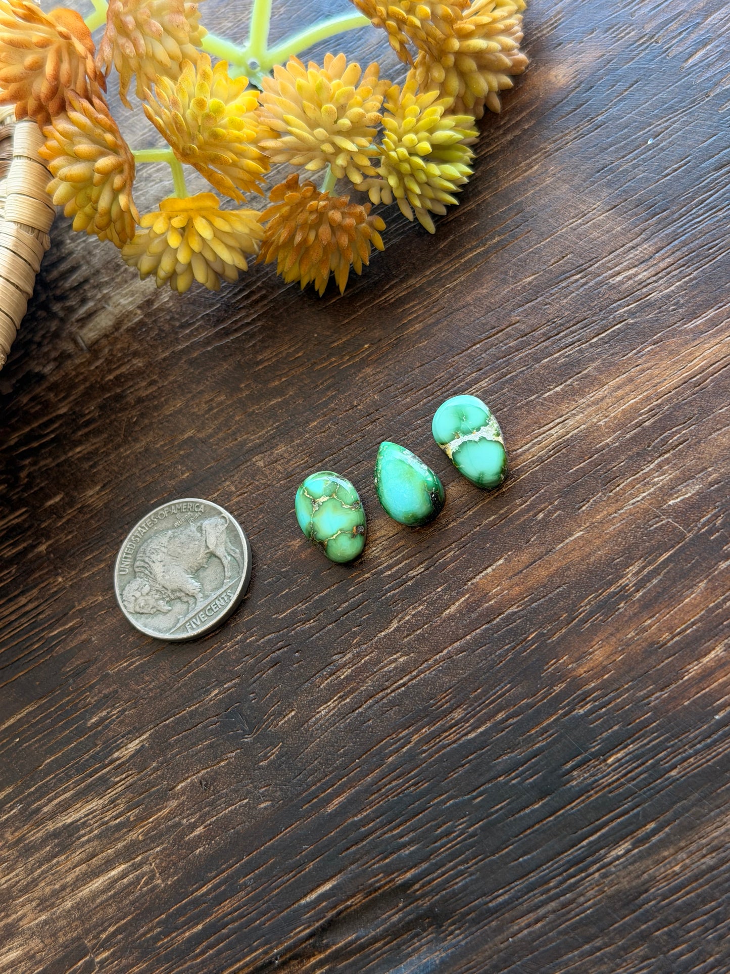 Sonoran Mountain Turquoise Cabs