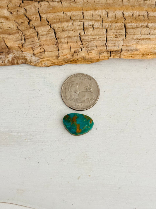 Natural Kings Manassa Turquoise Cab