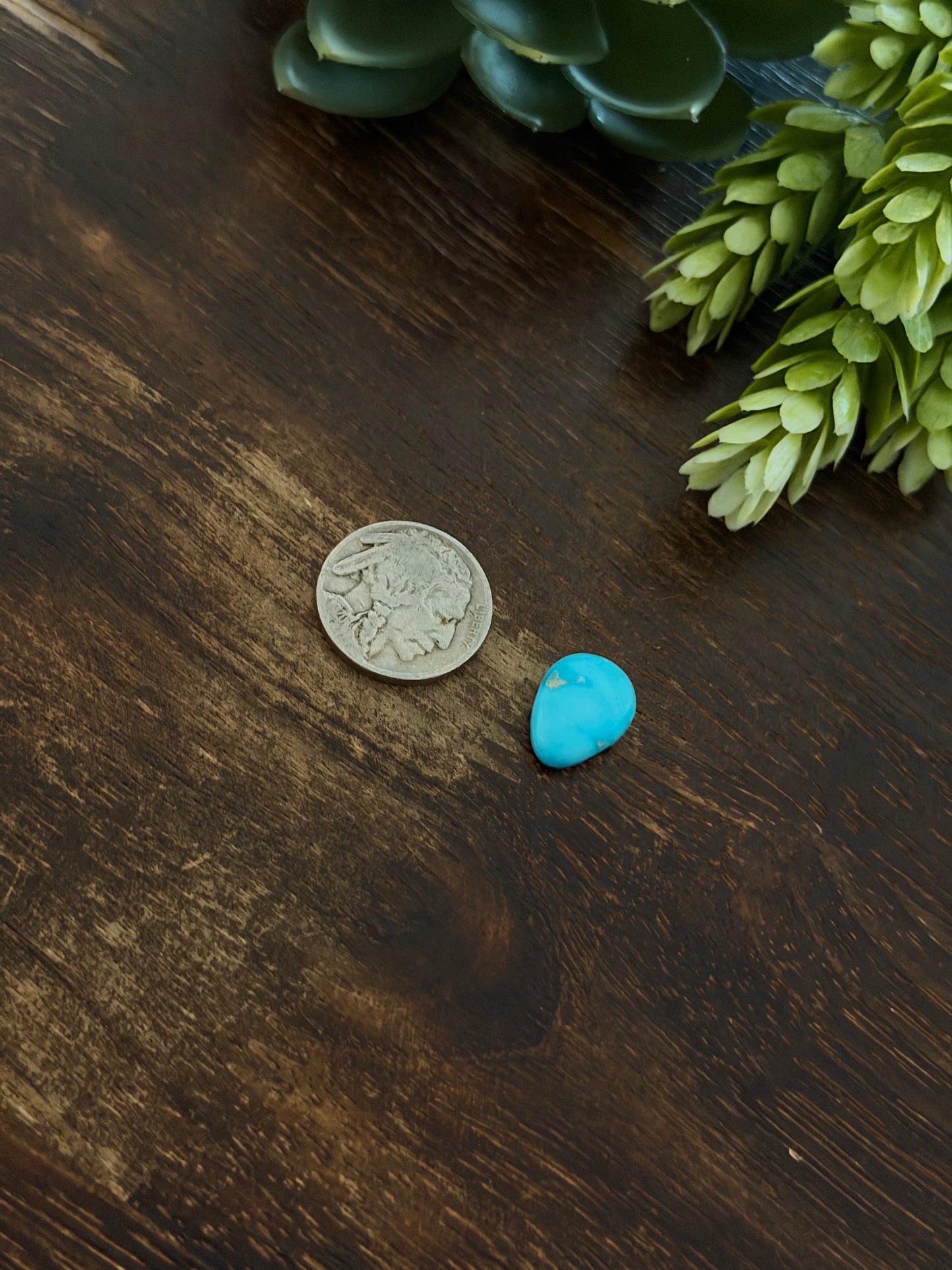 Blue Bird Turquoise Cab