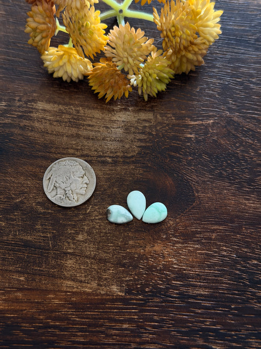 Paloma Variscite Cabs