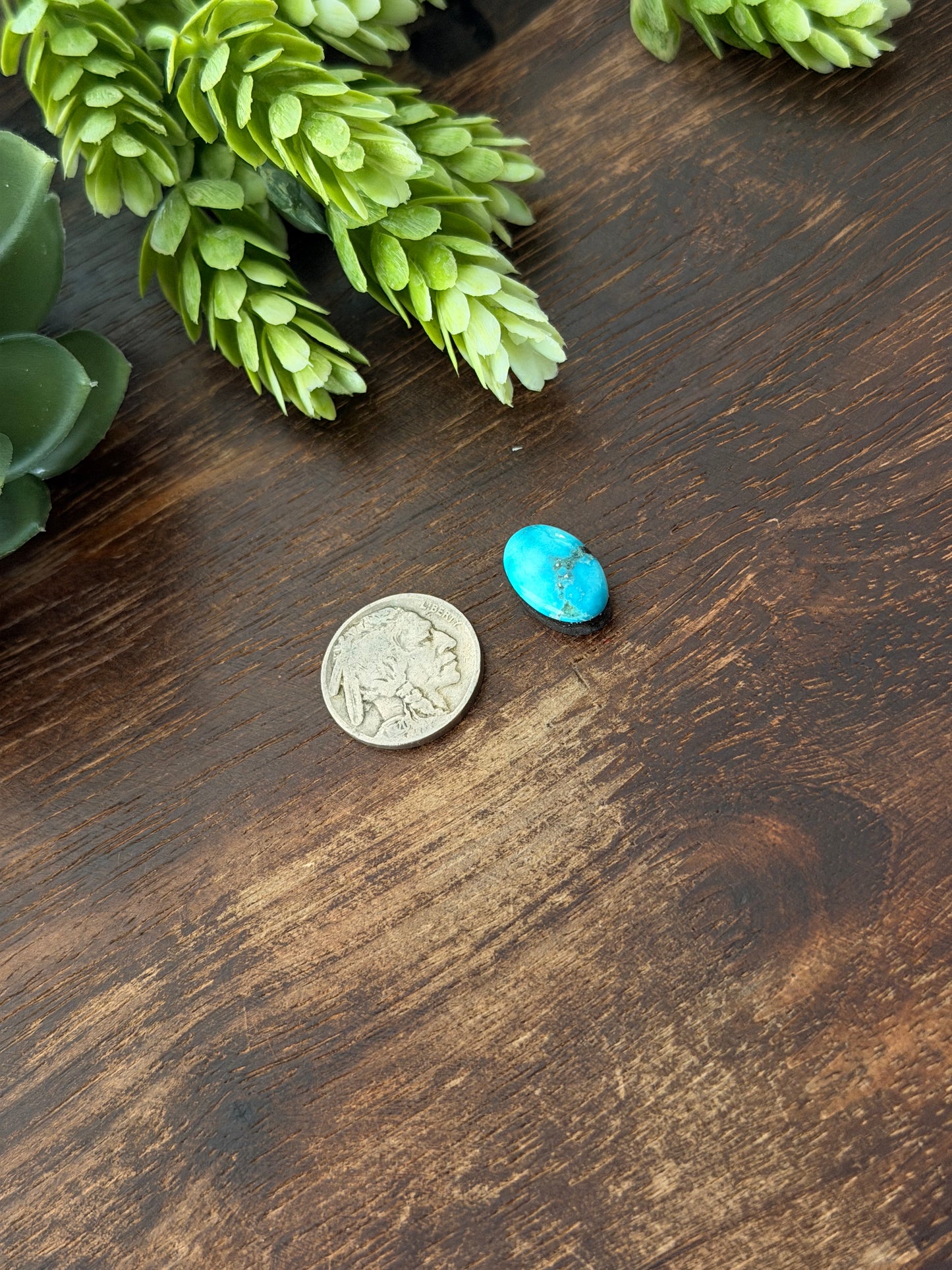 Blue Bird Turquoise Cab