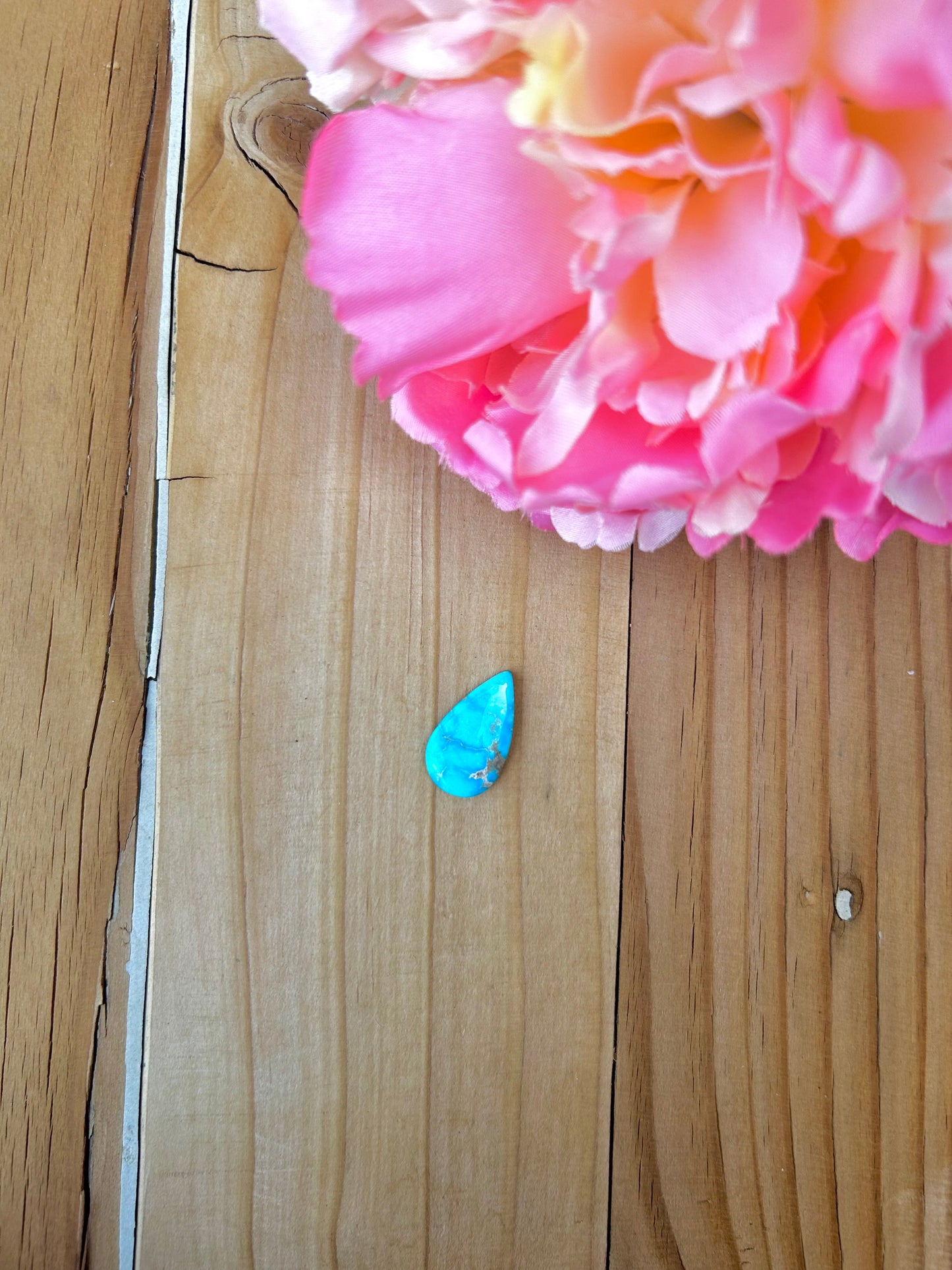 Blue Bird Turquoise Cabs