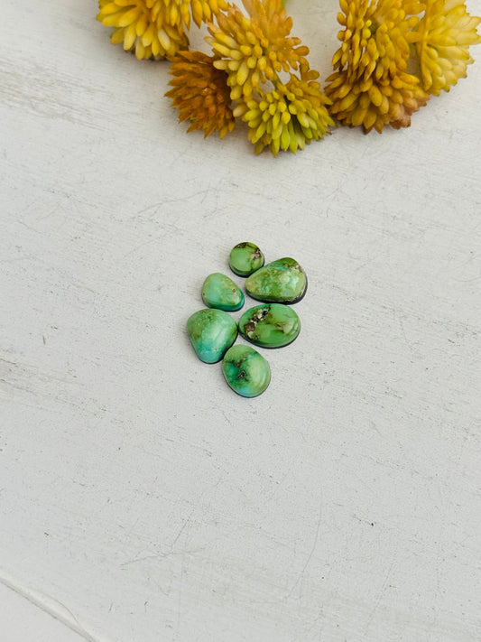 Natural Sonoran Gold Turquoise Cabs