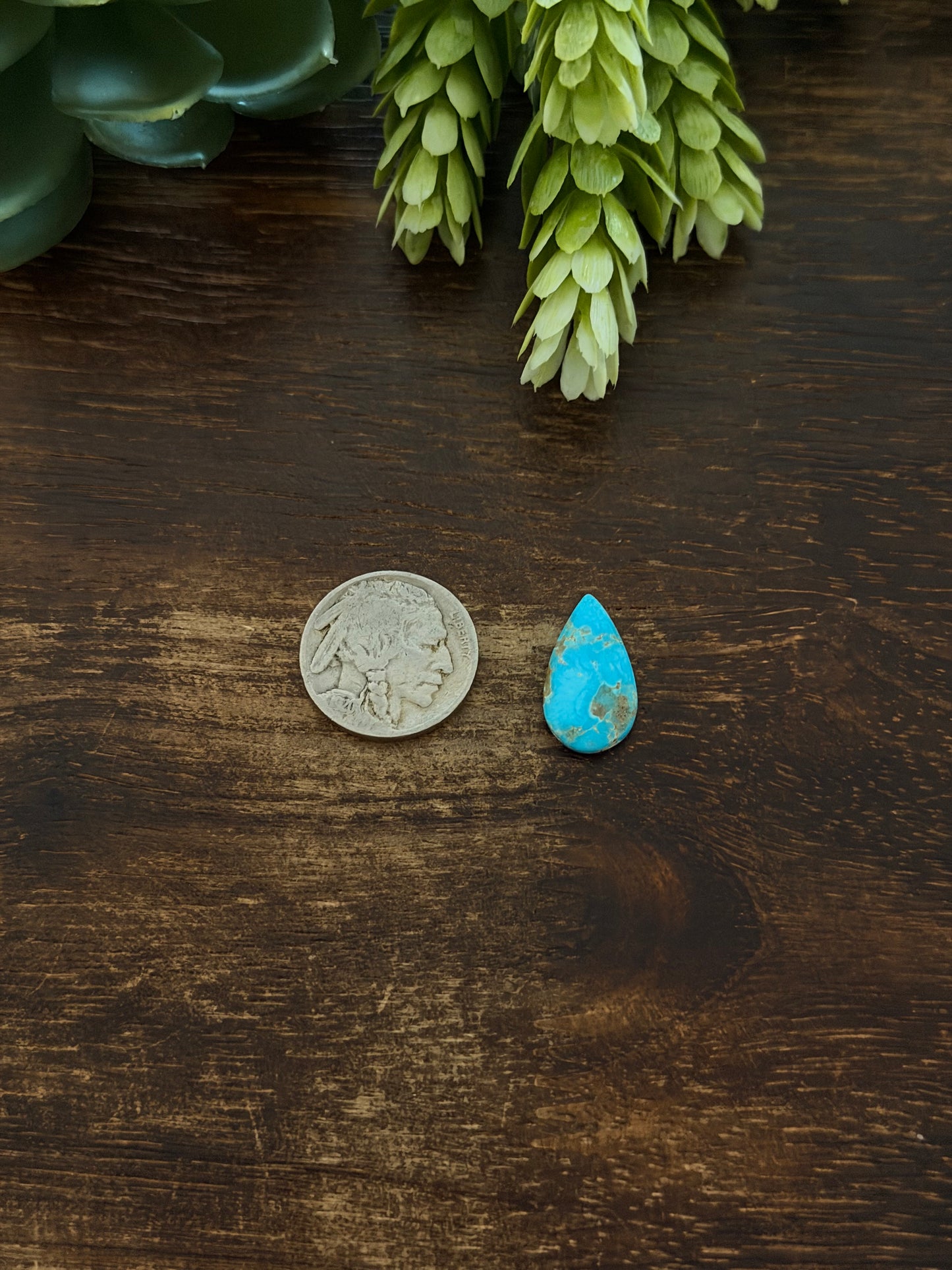 Blue Bird Turquoise Cab