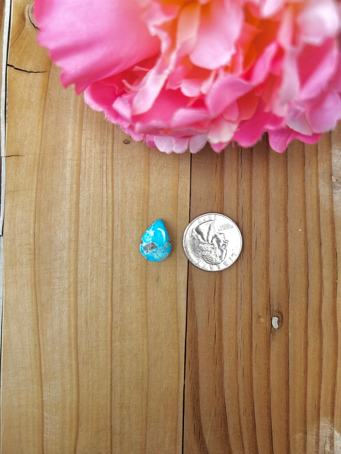 Blue Bird Turquoise Cabs