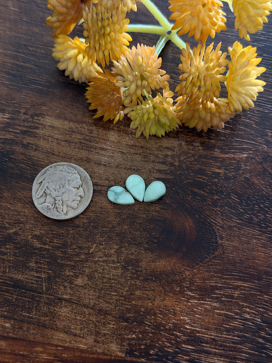 Paloma Variscite Cabs