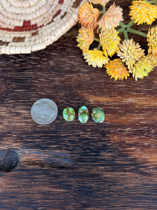 Sonoran Mountain Turquoise Cabs