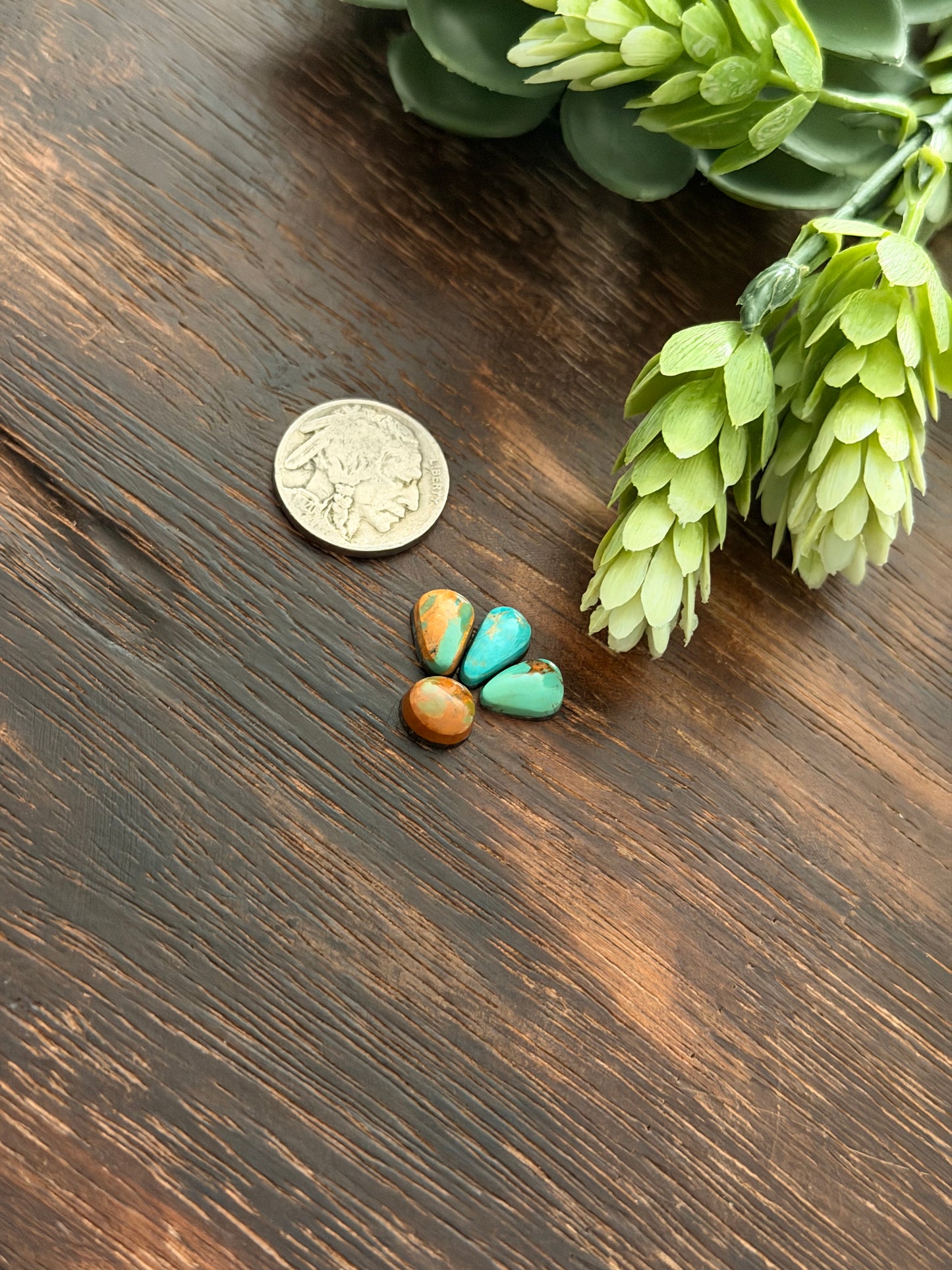 Evans Turquoise Cabs