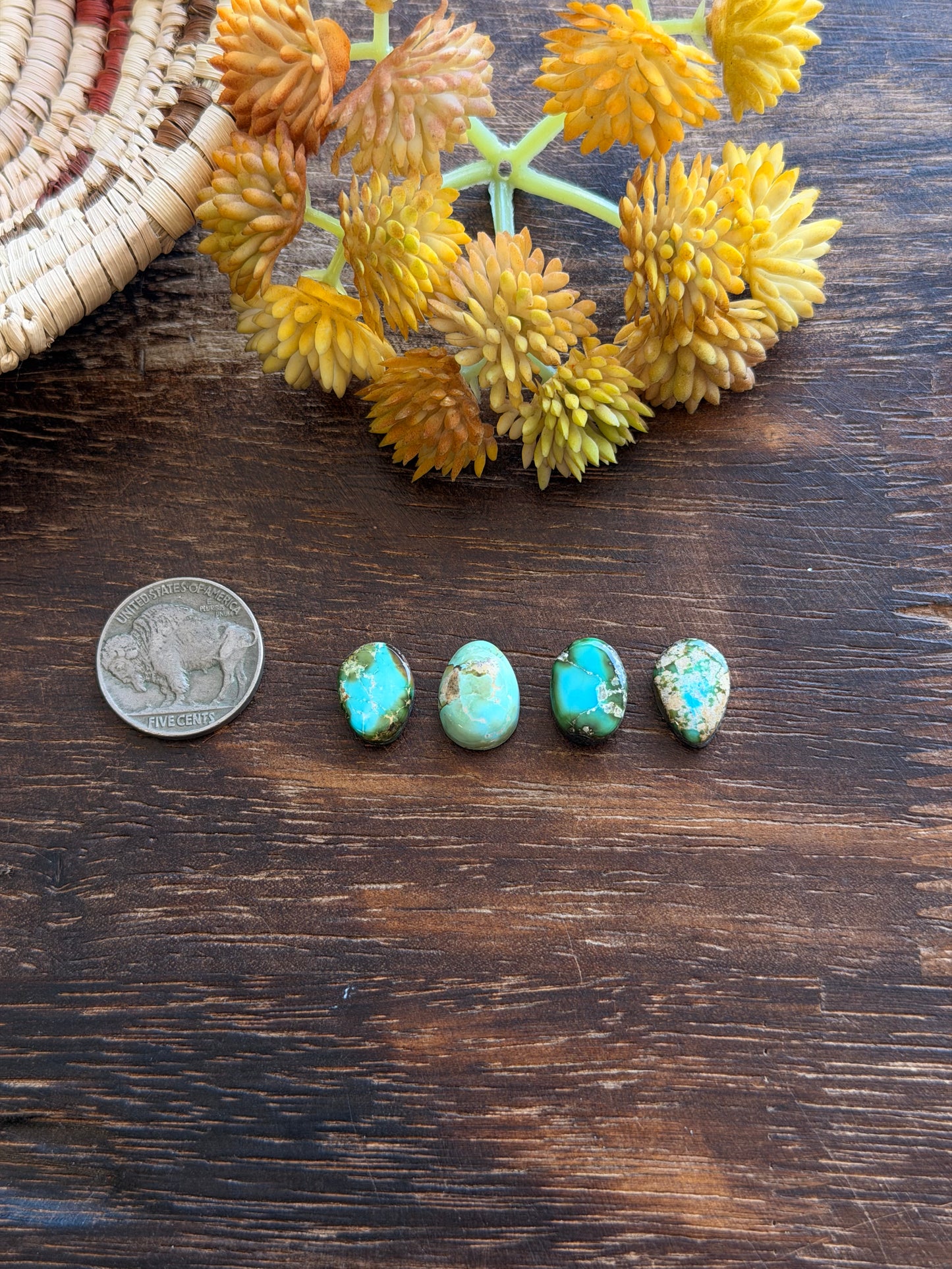 Sonoran Mountain Turquoise Cabs