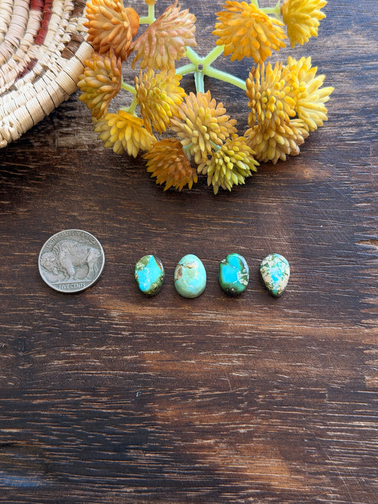 Sonoran Mountain Turquoise Cabs