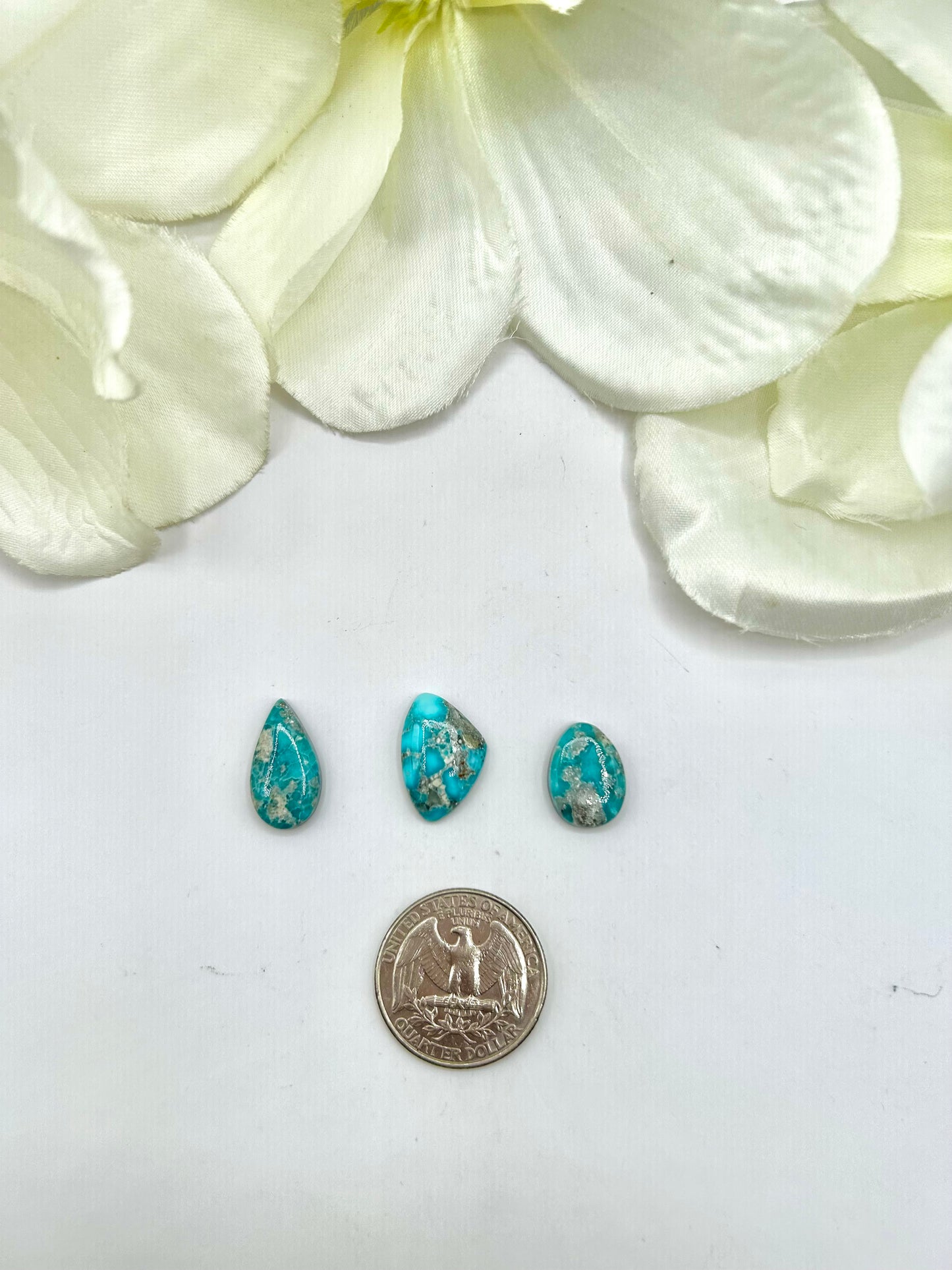 White Water Turquoise Cabs