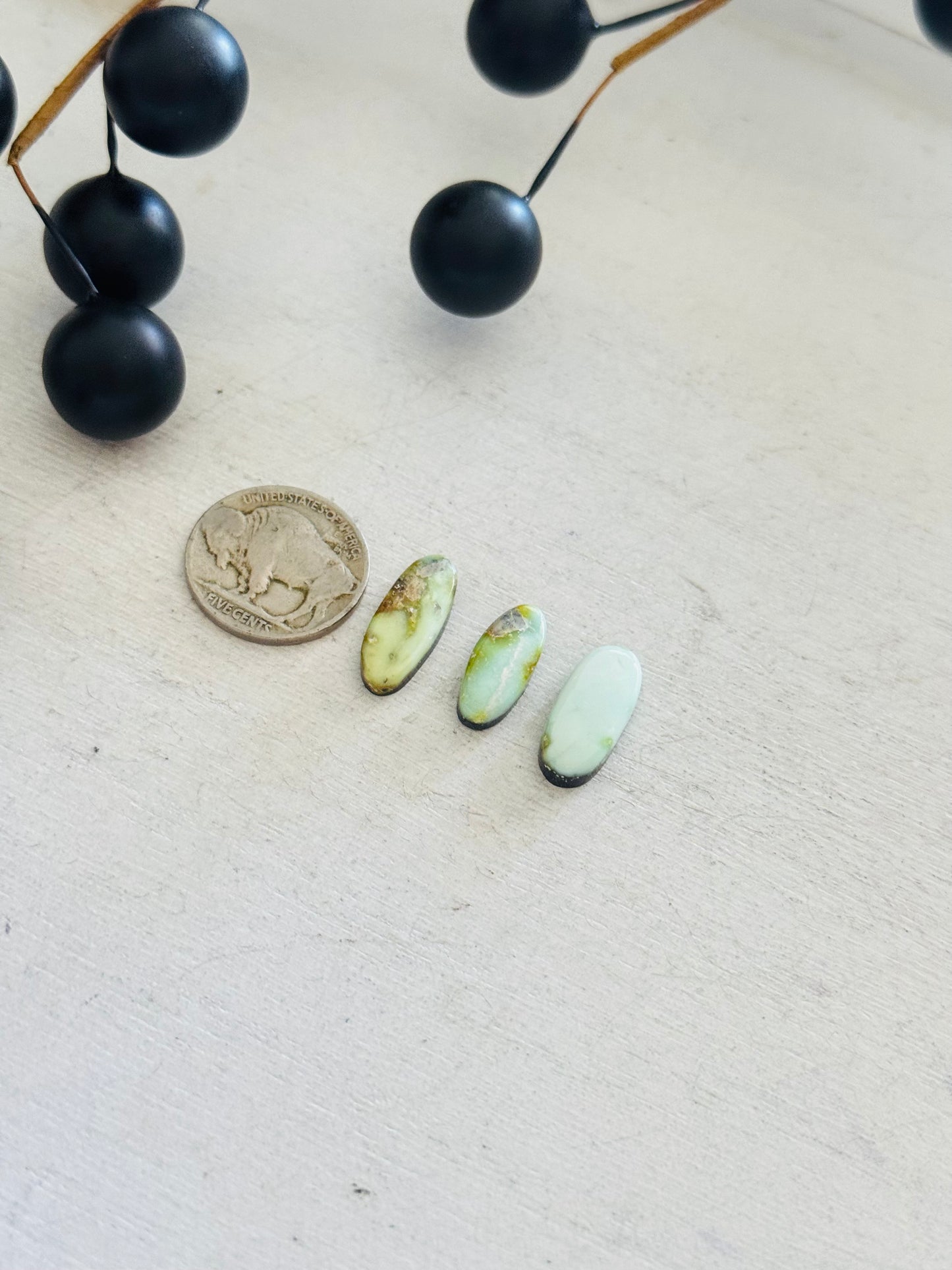 Palomino Variscite Cabs