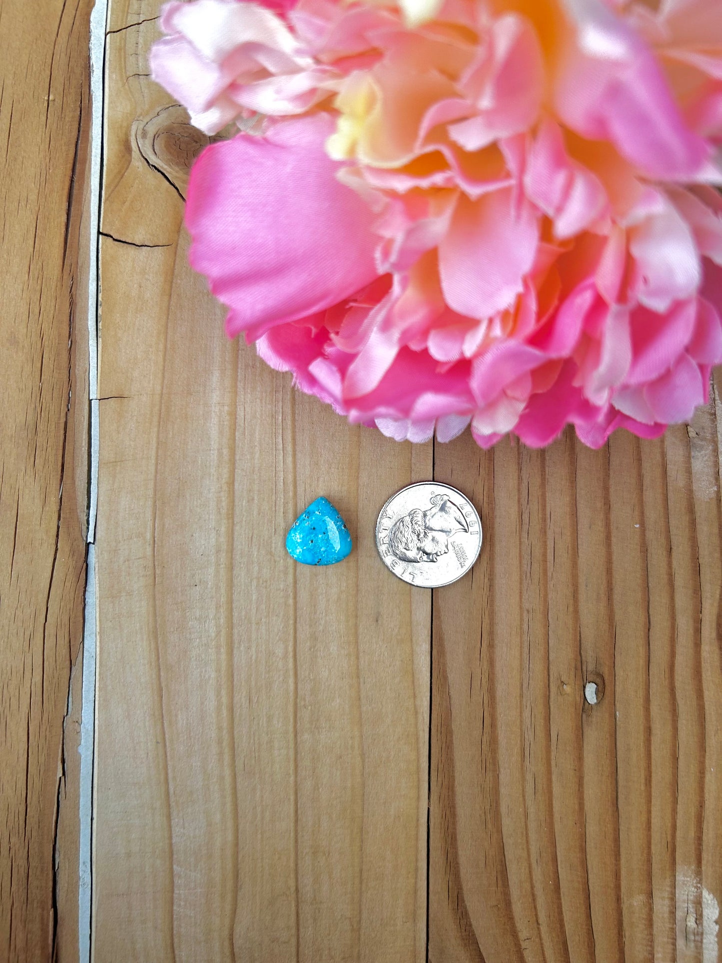 Blue Bird Turquoise Cabs