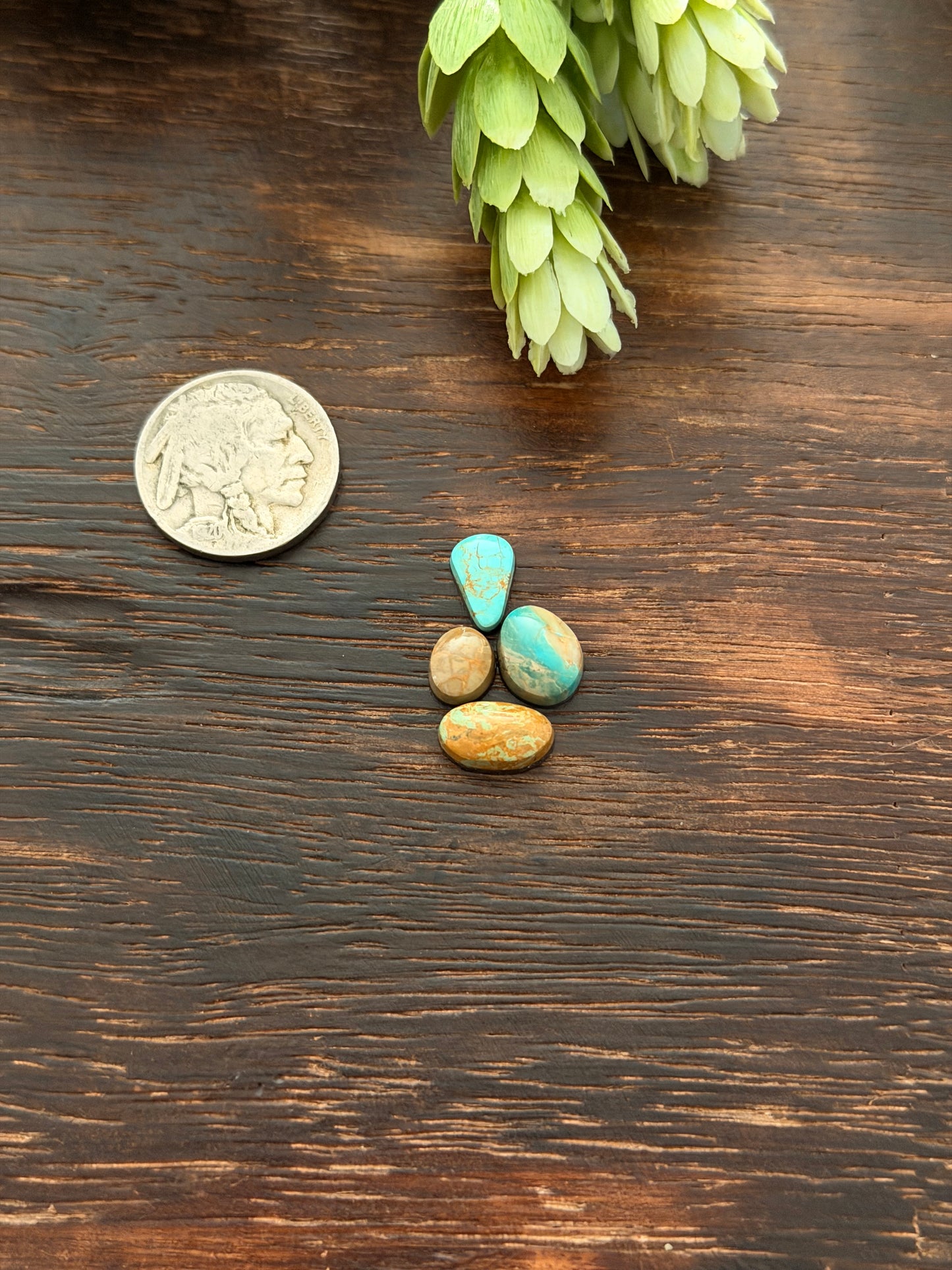 Evans Turquoise Cabs