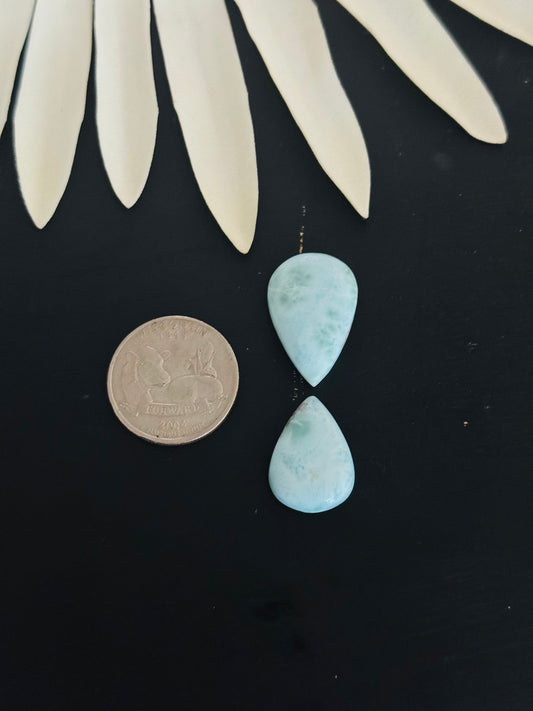 Larimar Cabs