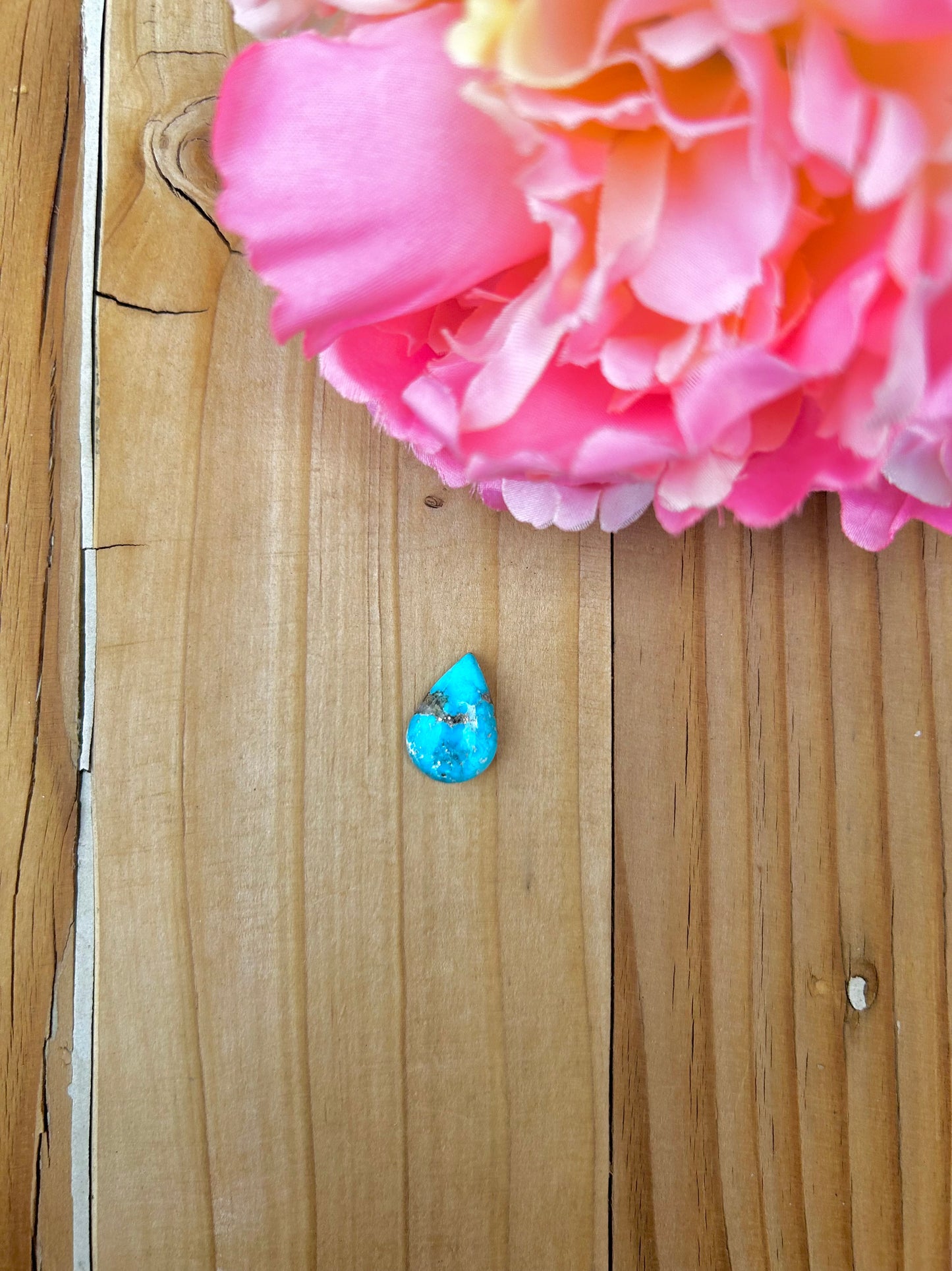 Blue Bird Turquoise Cabs