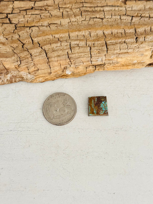 Natural Kings Manassa Turquoise Cab