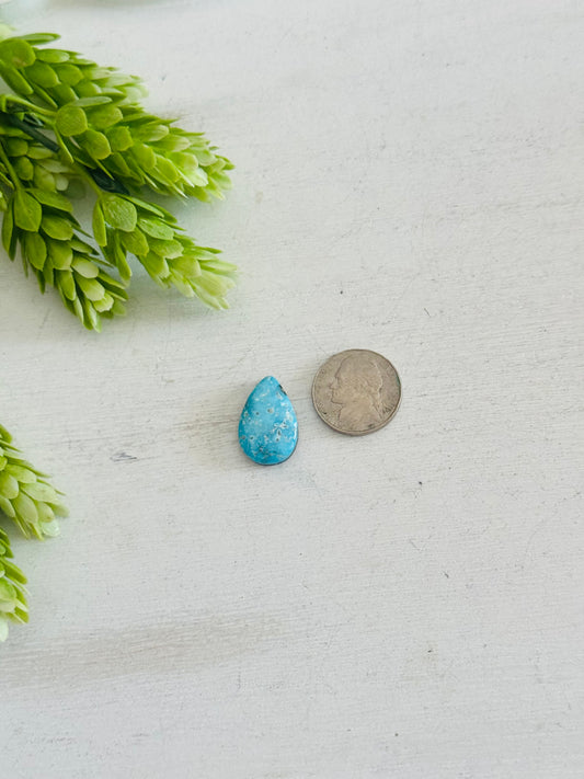 Blue Bird Turquoise Cab