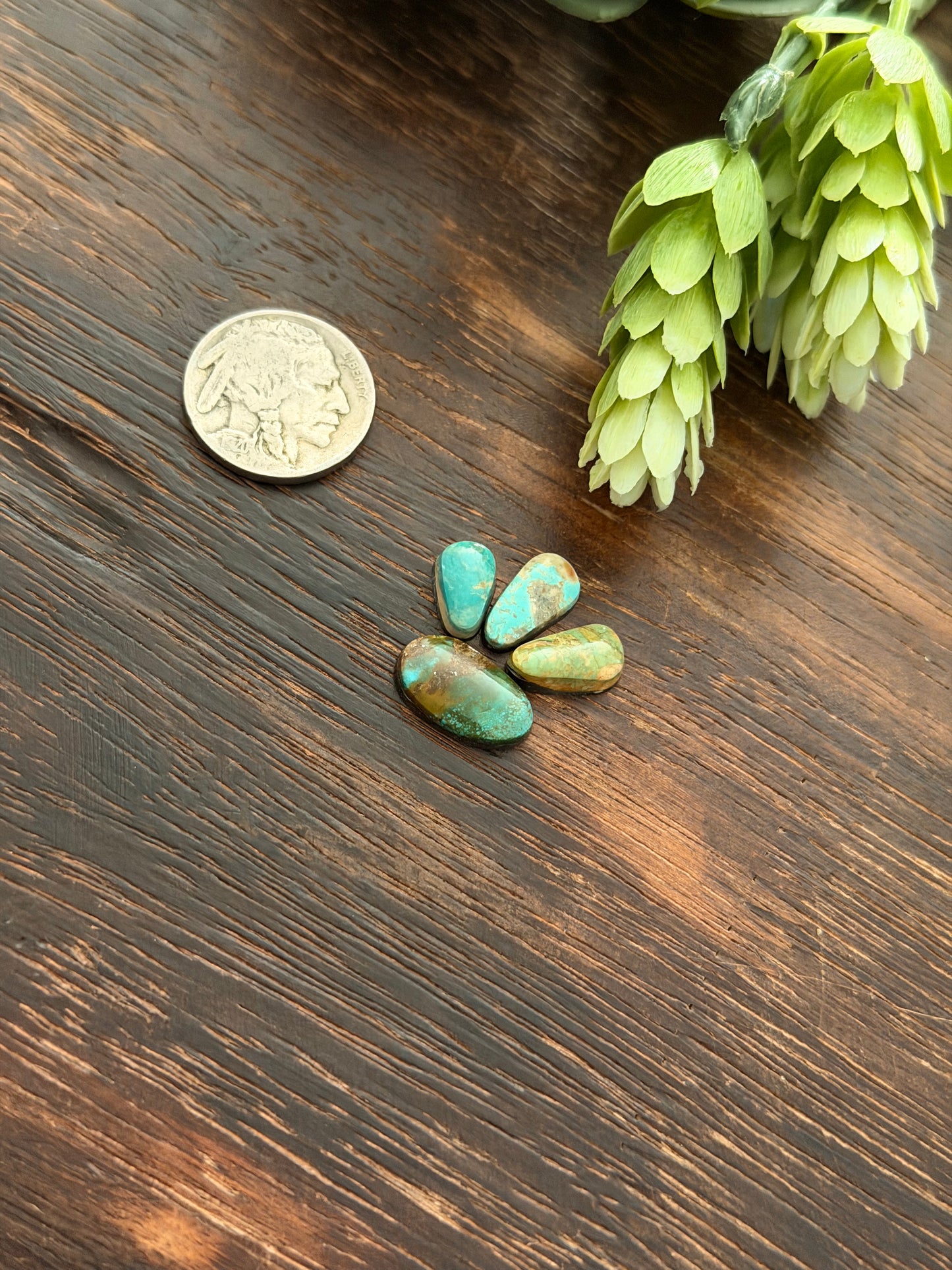 Evans Turquoise Cabs