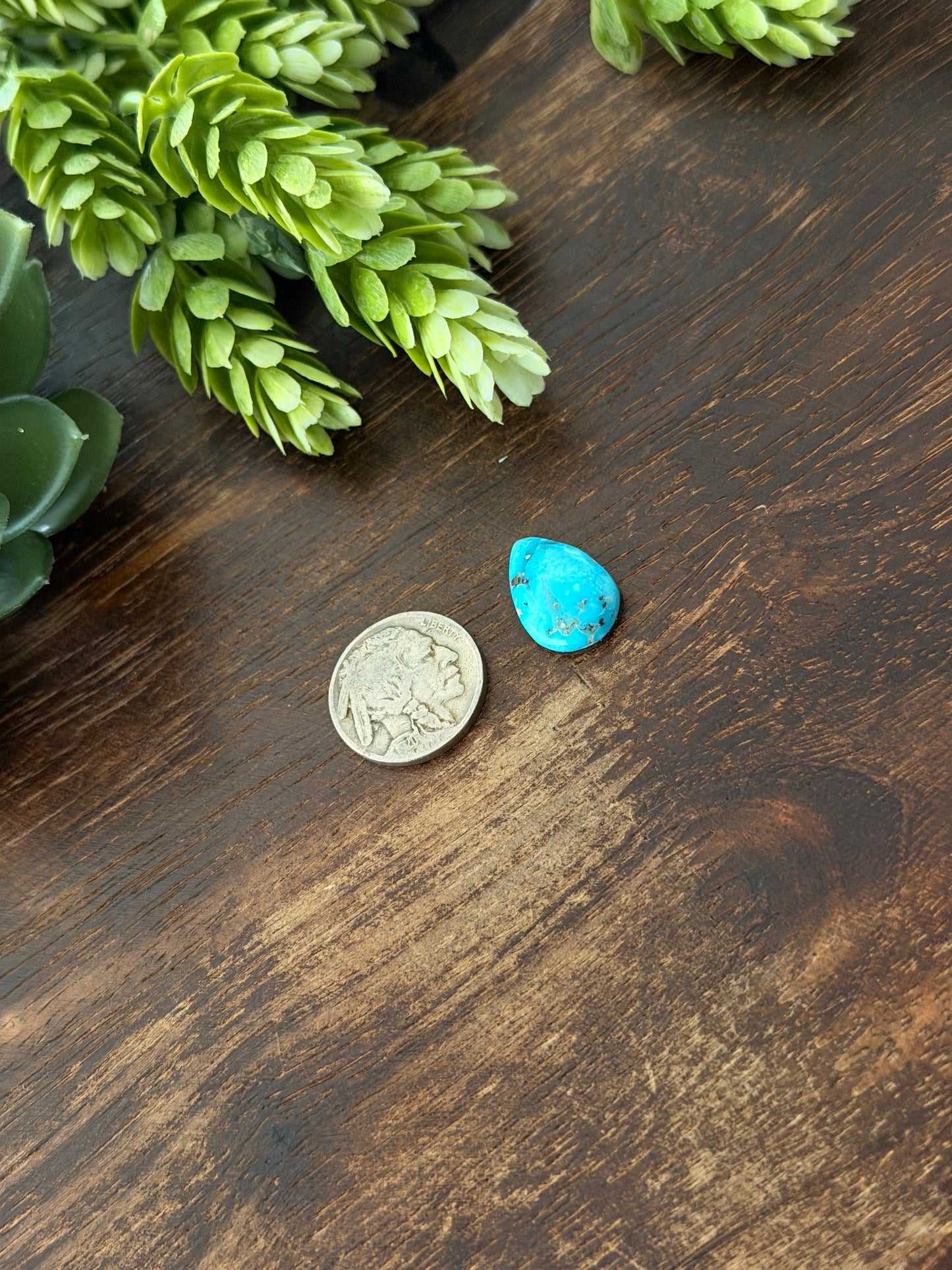 Blue Bird Turquoise Cab