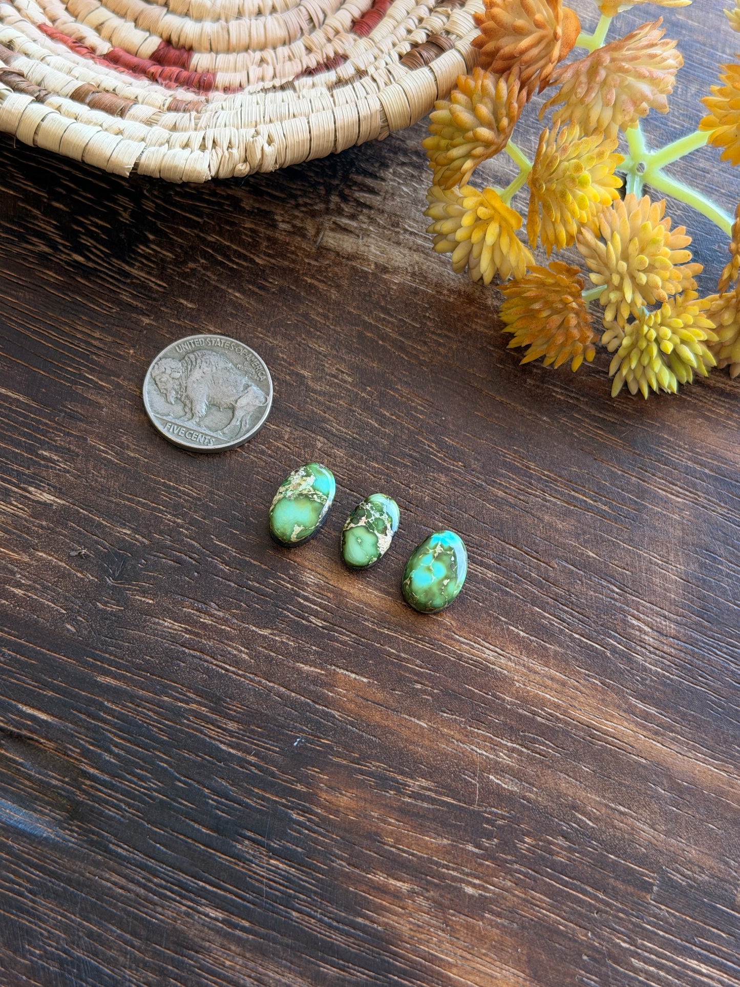 Sonoran Mountain Turquoise Cabs